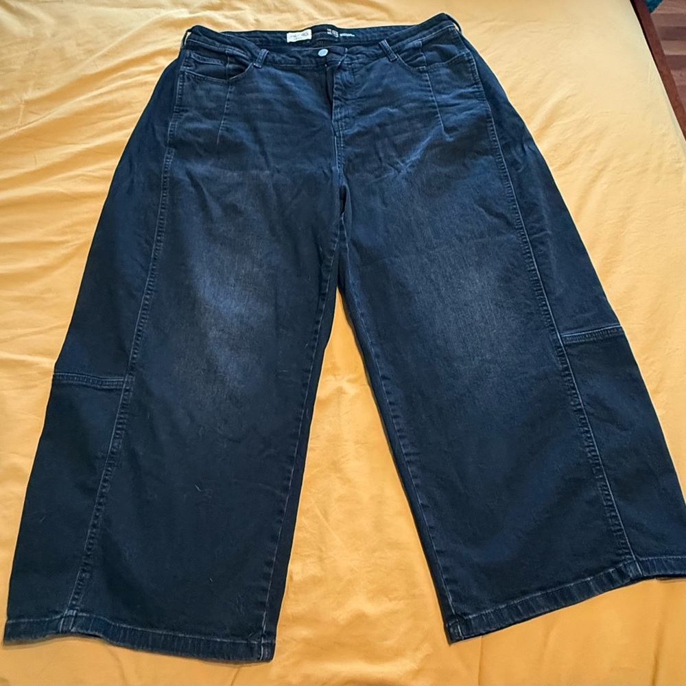 Anthropologie Pilcro Kenna Mid-Rise Heritage Barrel Jeans 18W